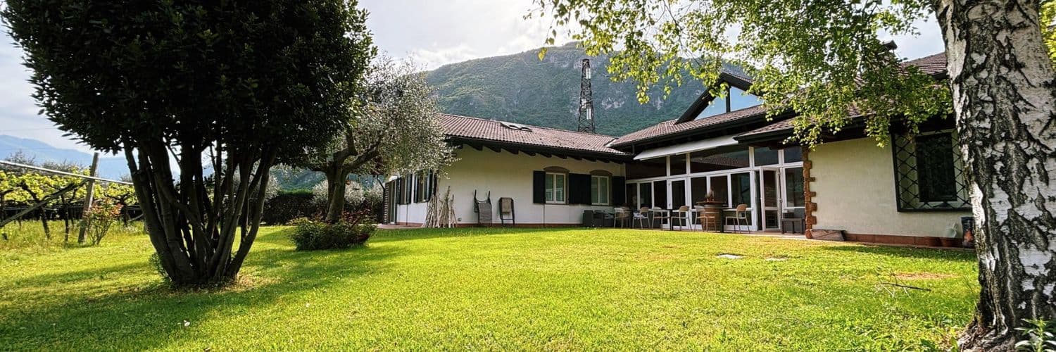 „Die Reserven“ | Vitivinicola Secchi
