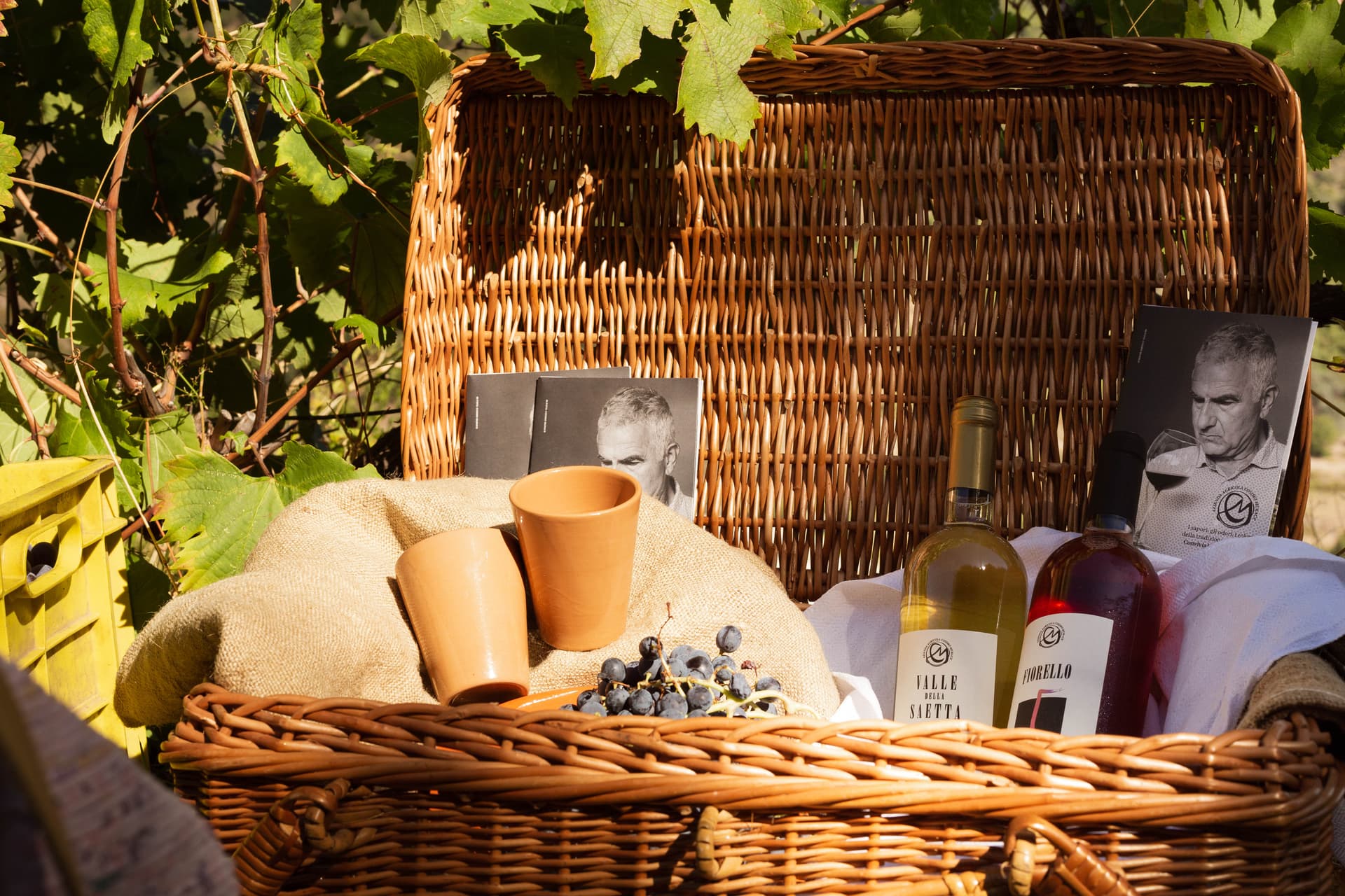Degustação de vinhos e passeio pelos vinhedos do Vale Bizantino
