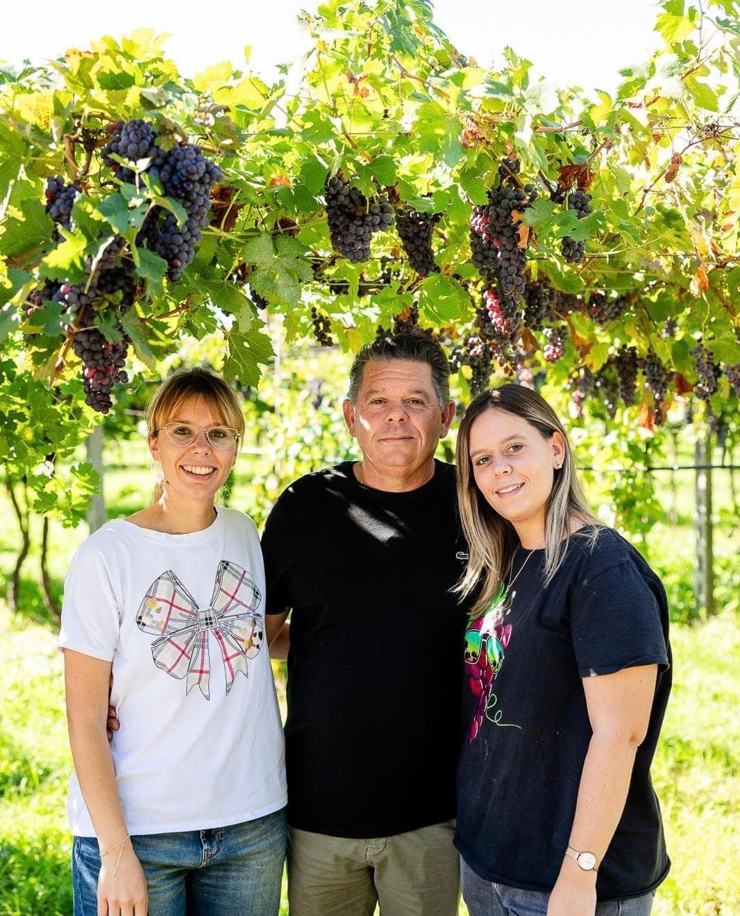 Veneto Vineyard Tour & Valpolicella Wine Tasting