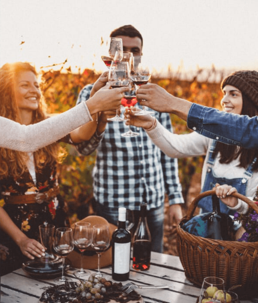 Montepulciano Wine and Flavor Experience Wine Tasting Medium