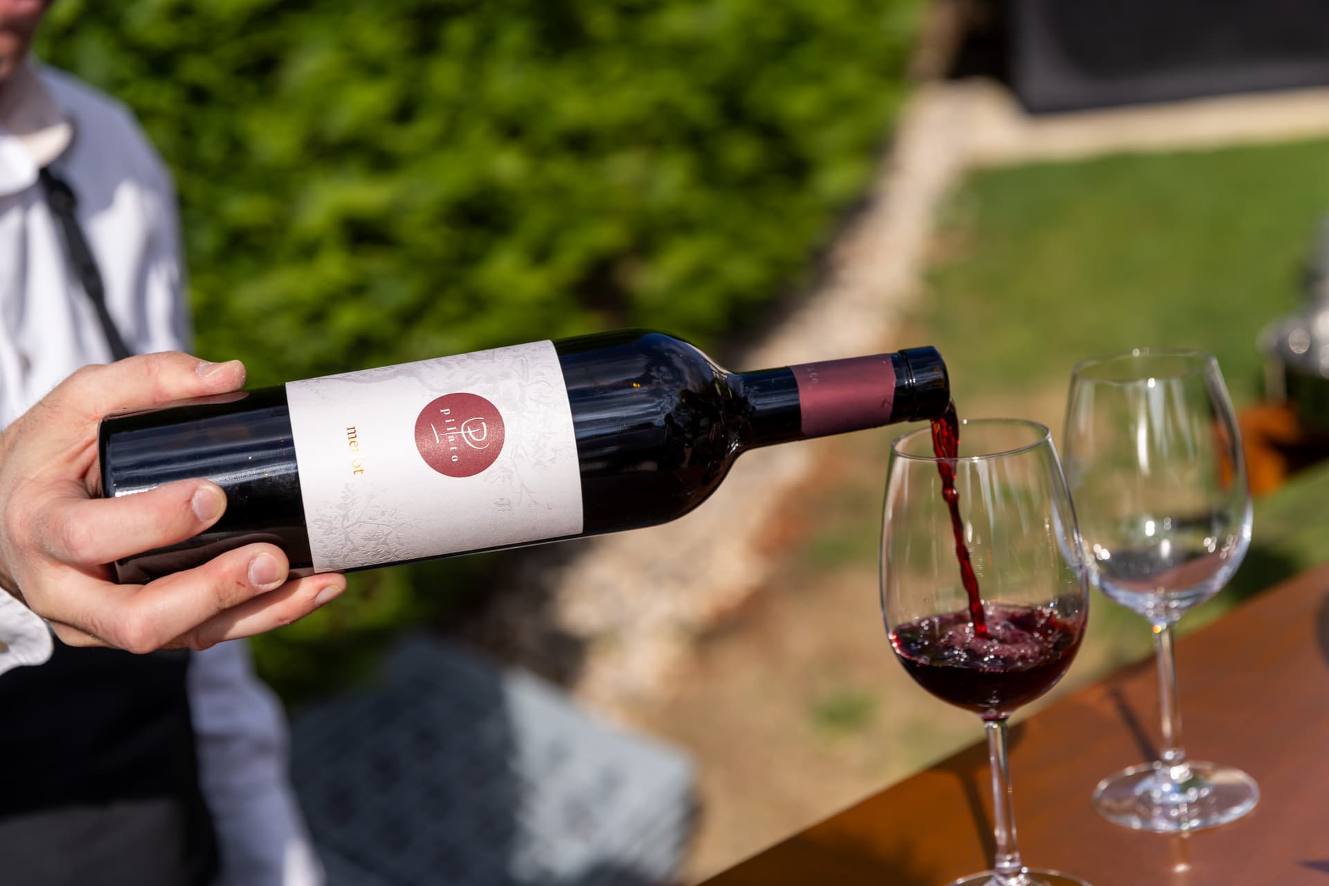 Pilato Winery Foto 5