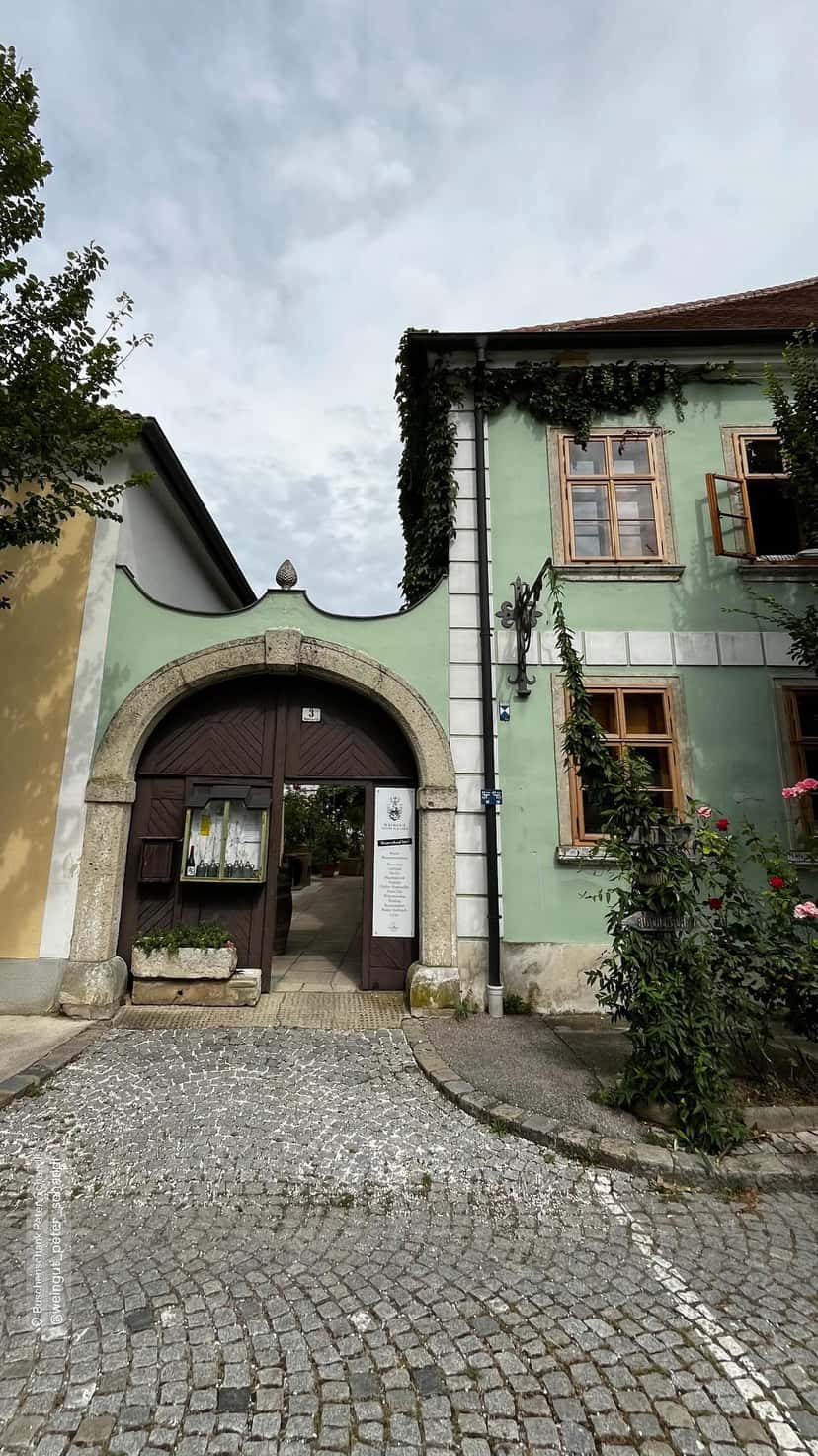 Weingut Peter Schandl