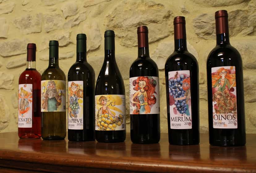 Guidad tur och vinprovning på Cantina Brugnoni