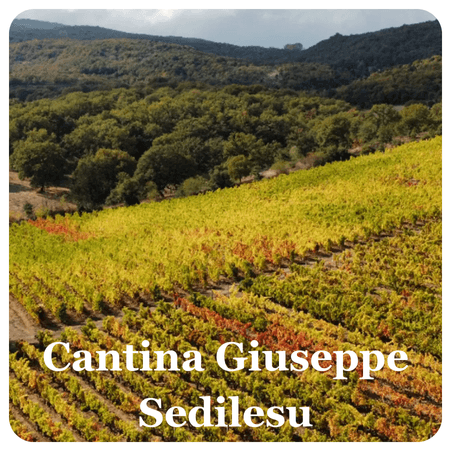 Cantina Giuseppe Sedilesu
