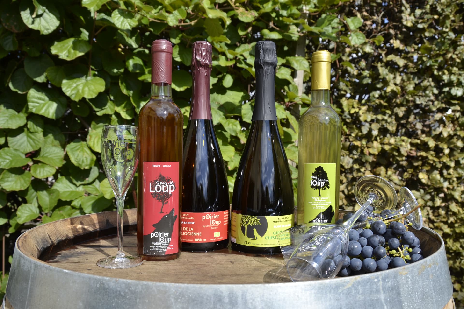 Visita guiada e degustação de vinhos em Le Poirier du Loup