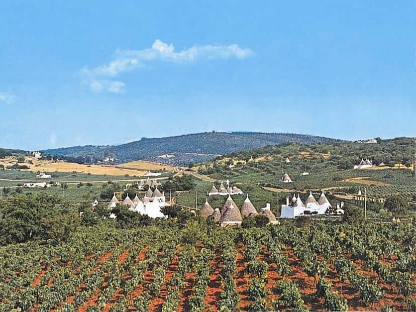 Azienda Vitivinicola di Santoro M.E./Tenuta Santoro
