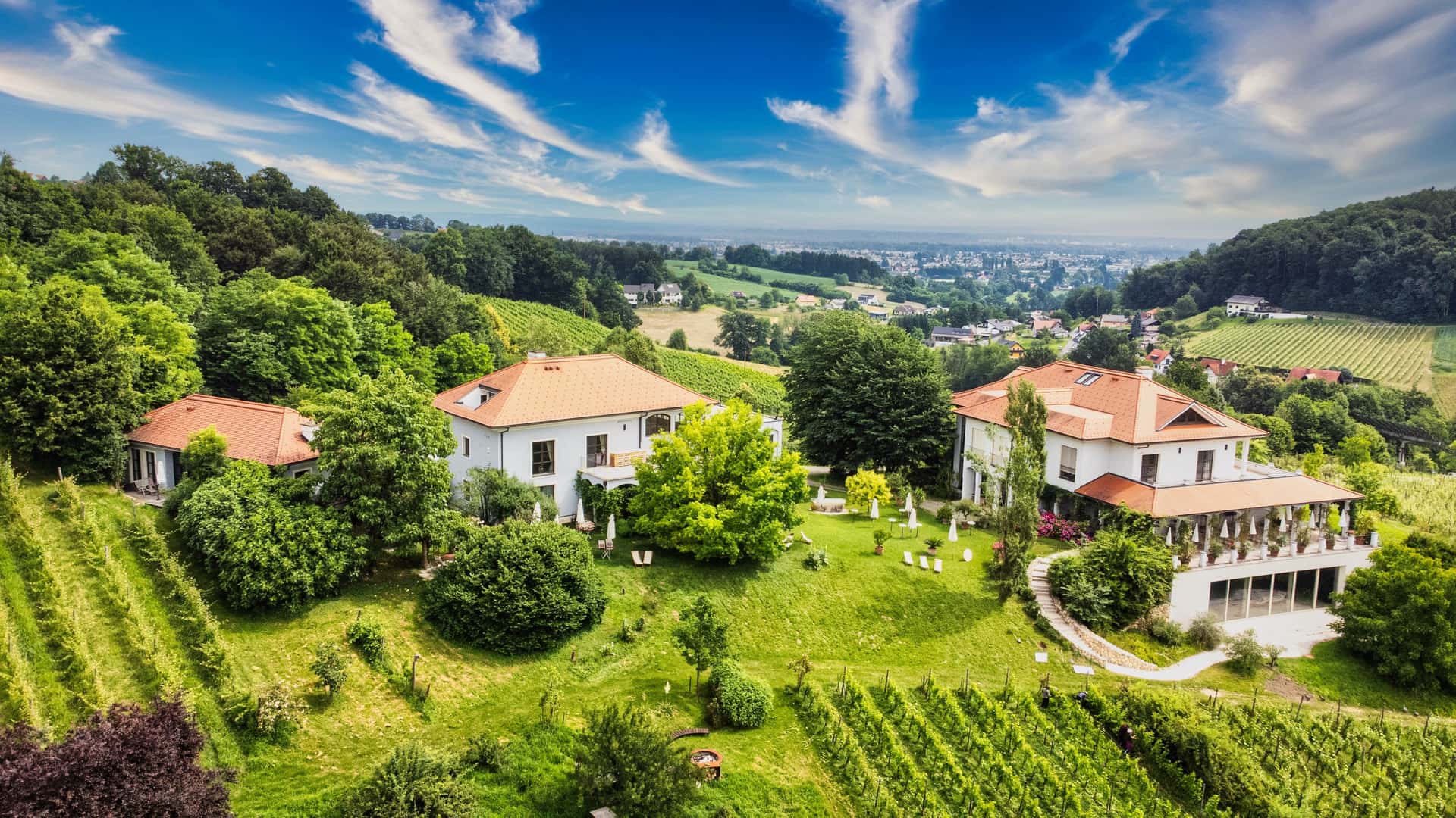 Dégustation de vins et visite à Hirschmugl - Domaene Am…