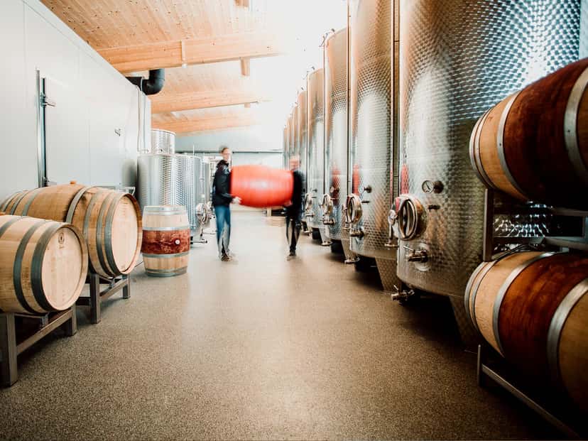 Burgenland Wine Journey at Weingut Mariel