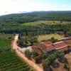 Collis Deluxe Weinprobe und Tour
