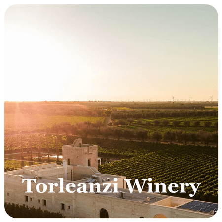 Torleanzi Winery
