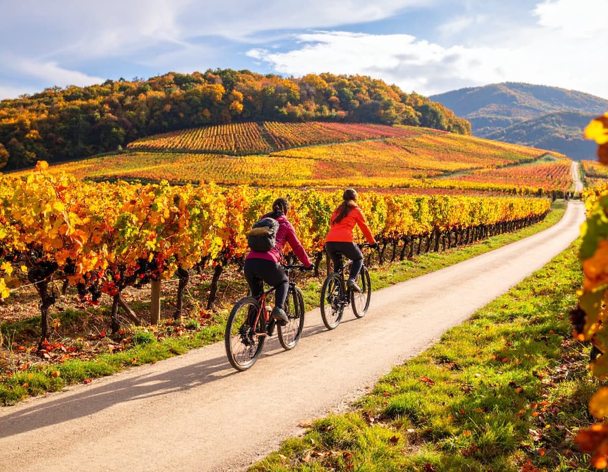 E-Bike-Tour + Weinprobe