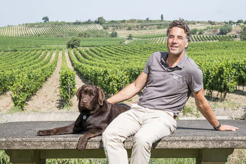 Cata de vinos y visita al Château Guilhem