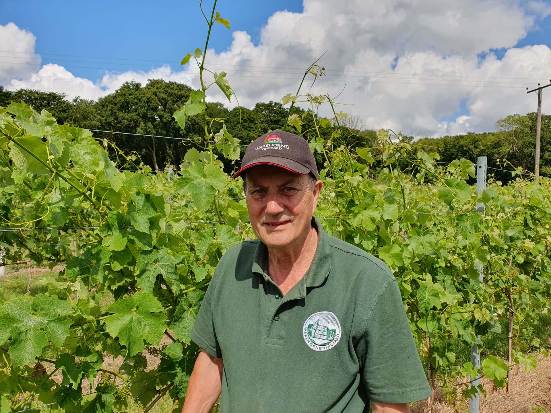Visite du vignoble et dégustation de vins