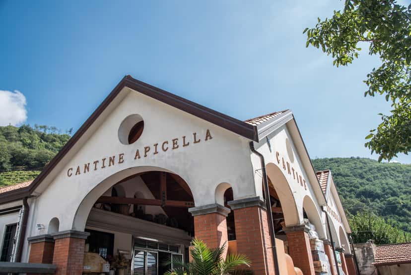Cantine Giuseppe Apicella