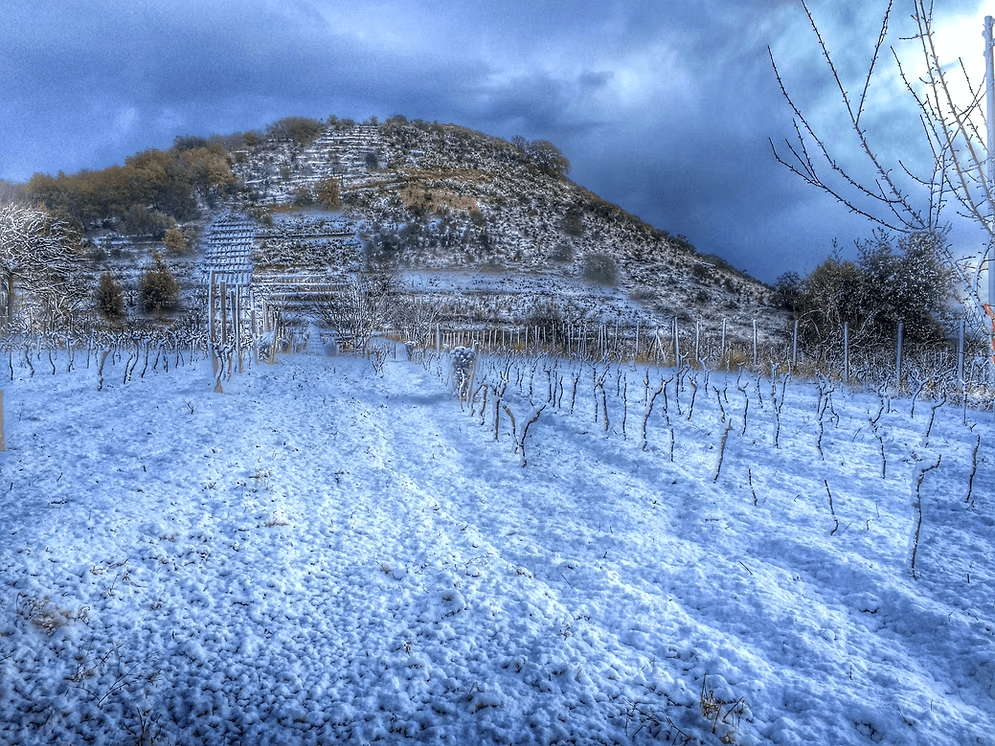 Biondi Winery Foto 1