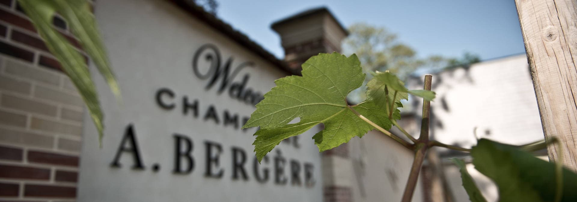 Champagne A.Bergere