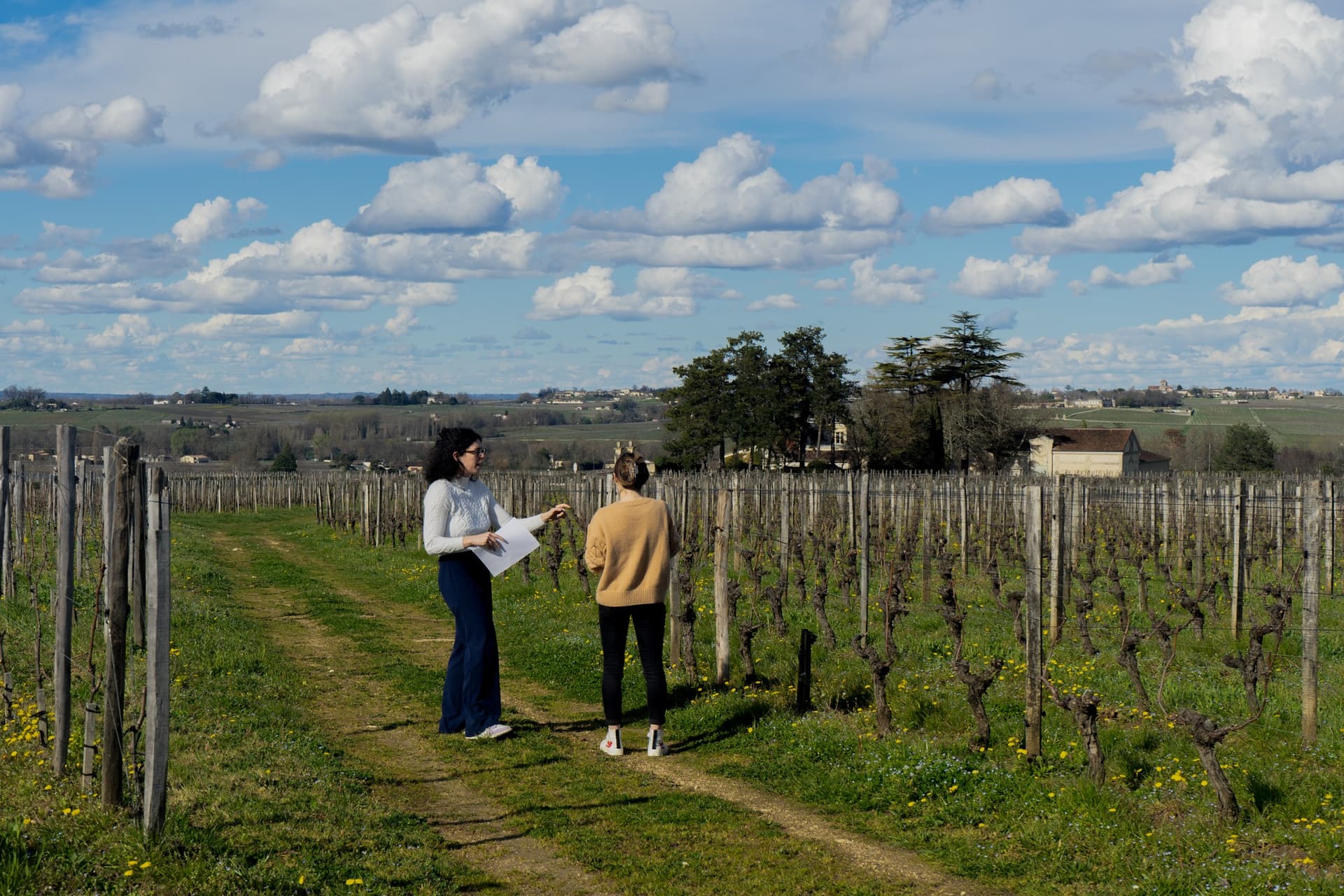 Château Balestard La Tonnelle foto 2
