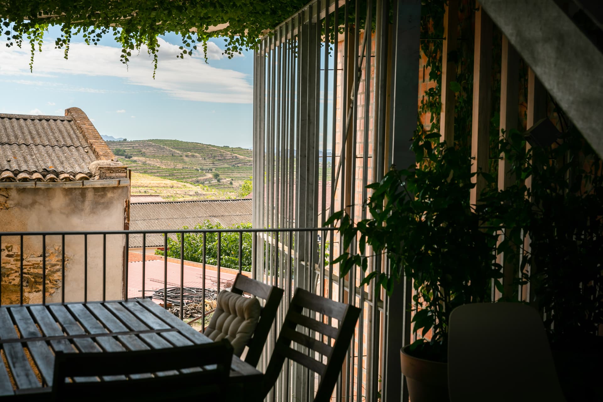 Cata de vinos y visita guiada en Clos Pachem