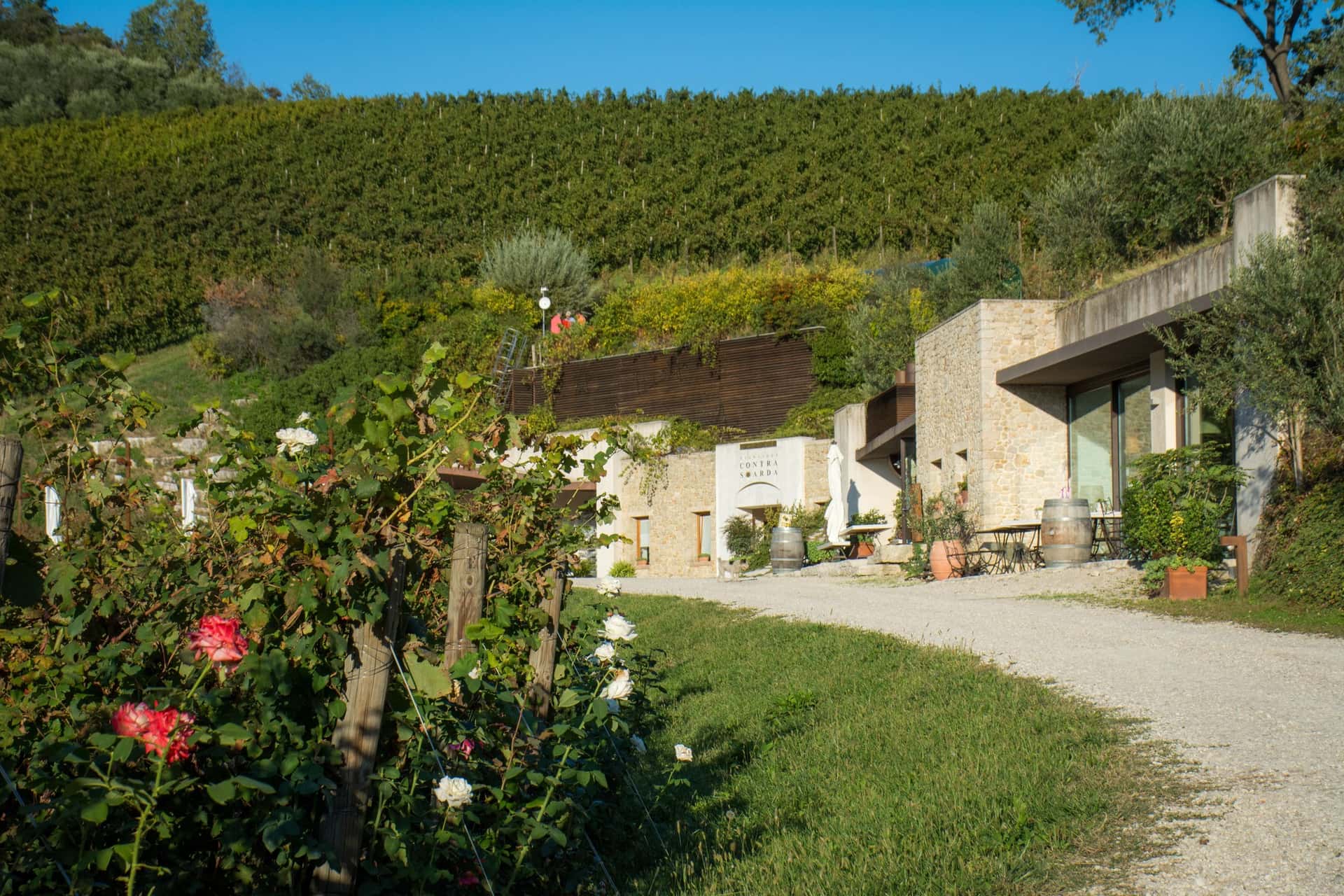 Degustazione e visita ai Vignaioli Contra' Soarda