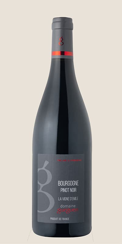 Bourgogne Pinot Noir La Vigne Demile