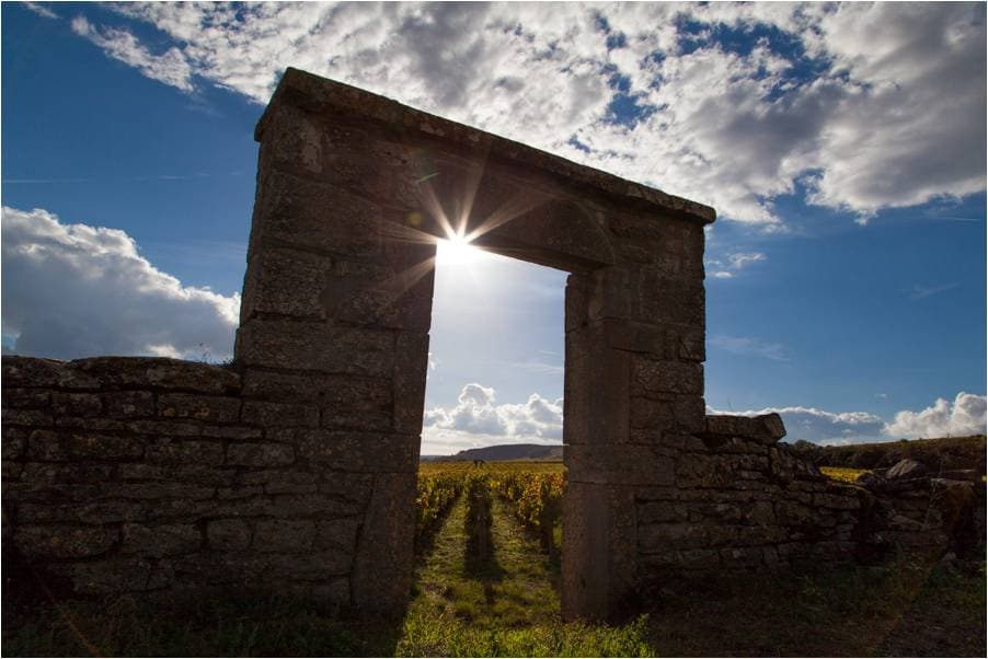 Domaine Coste-Caumartin photo 5