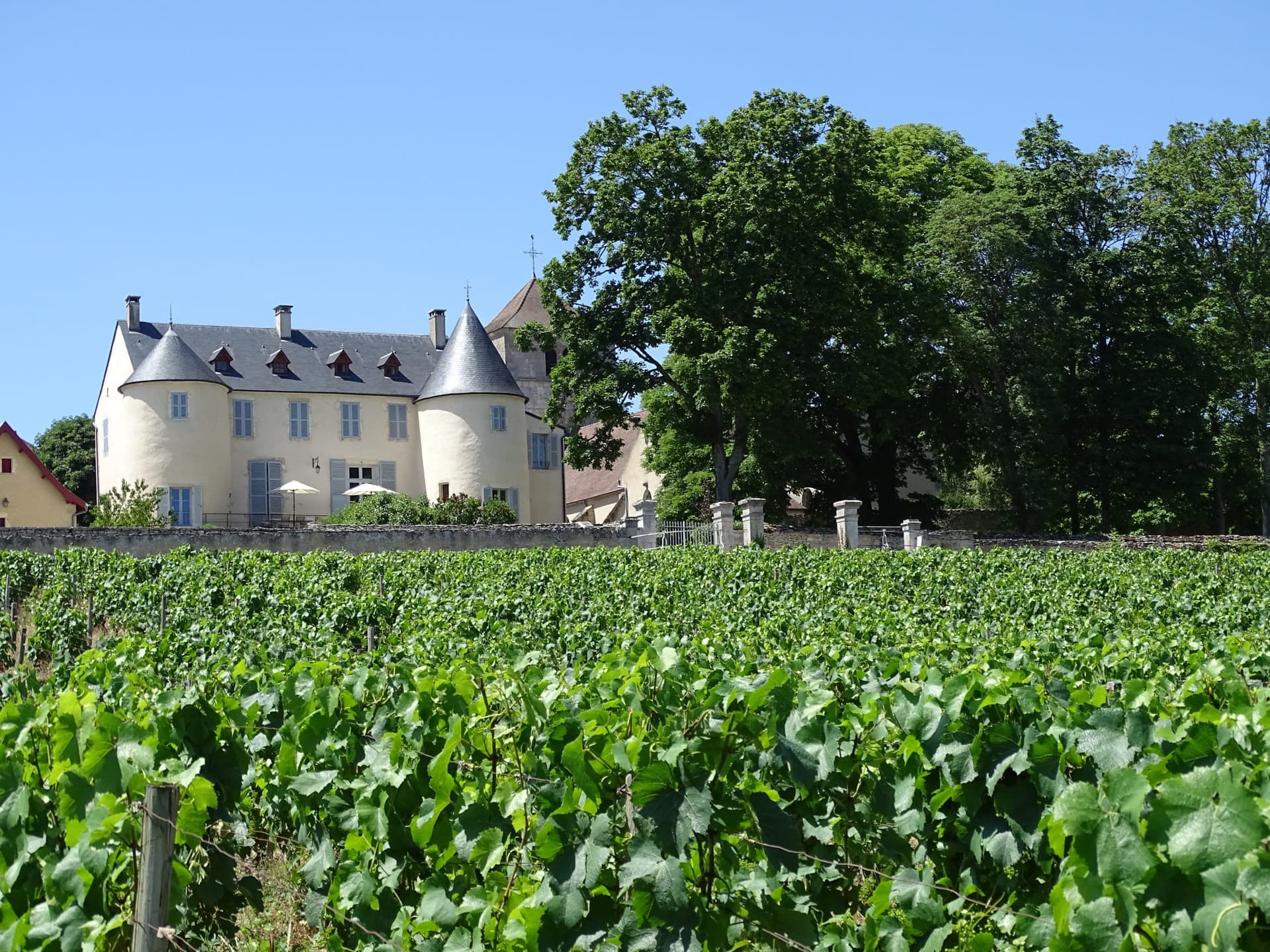 Domaine Coste-Caumartin photo 4