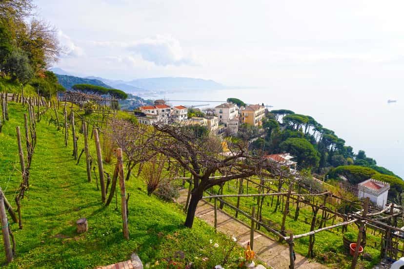 Cilento-Weintour mit professionellem Sommelier