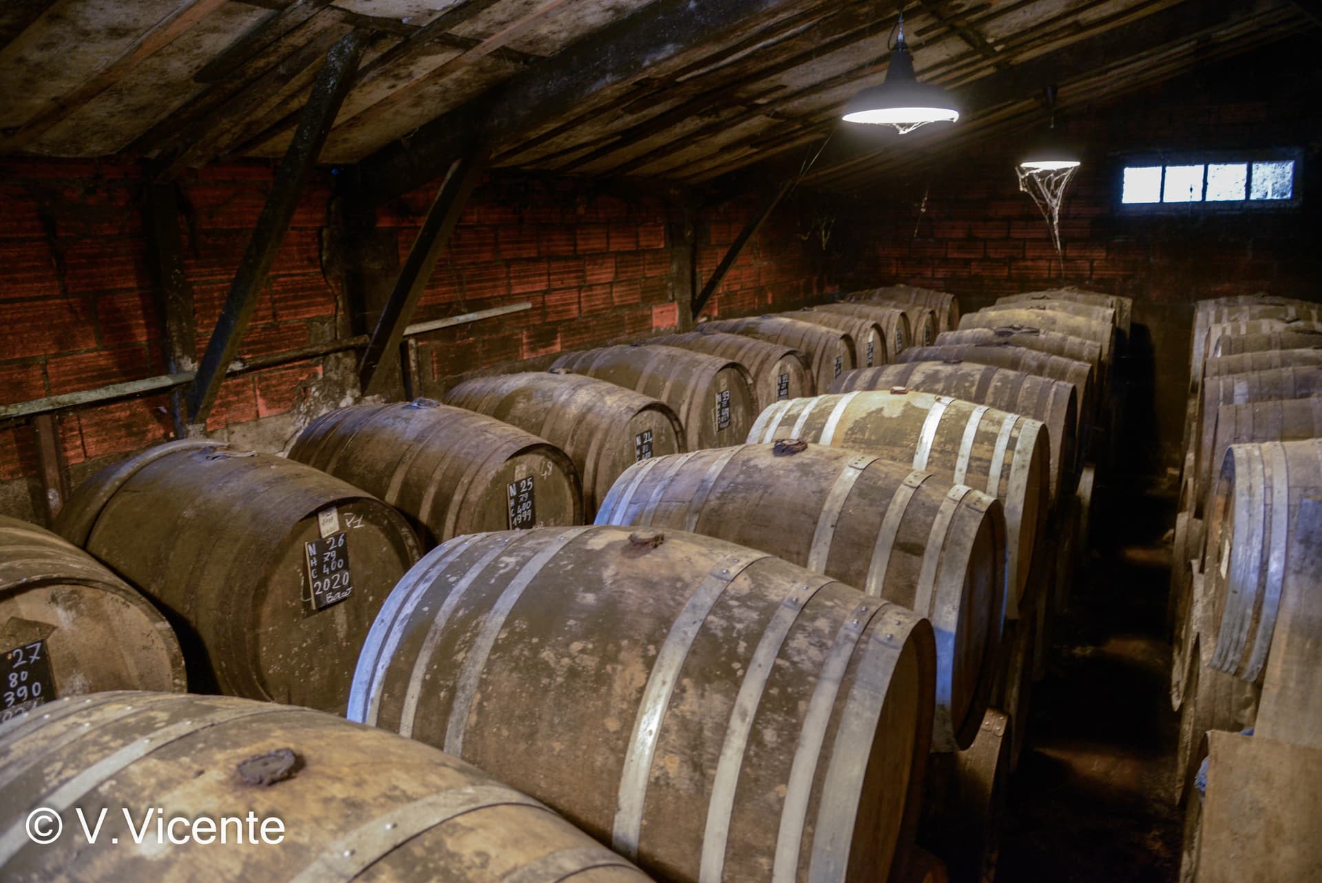 Château le Courrejot photo 3