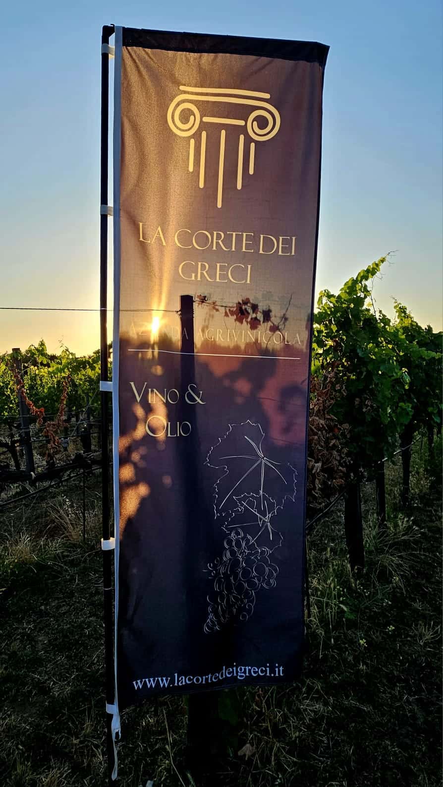 Tasting in the Cellar with food and wine pairings
