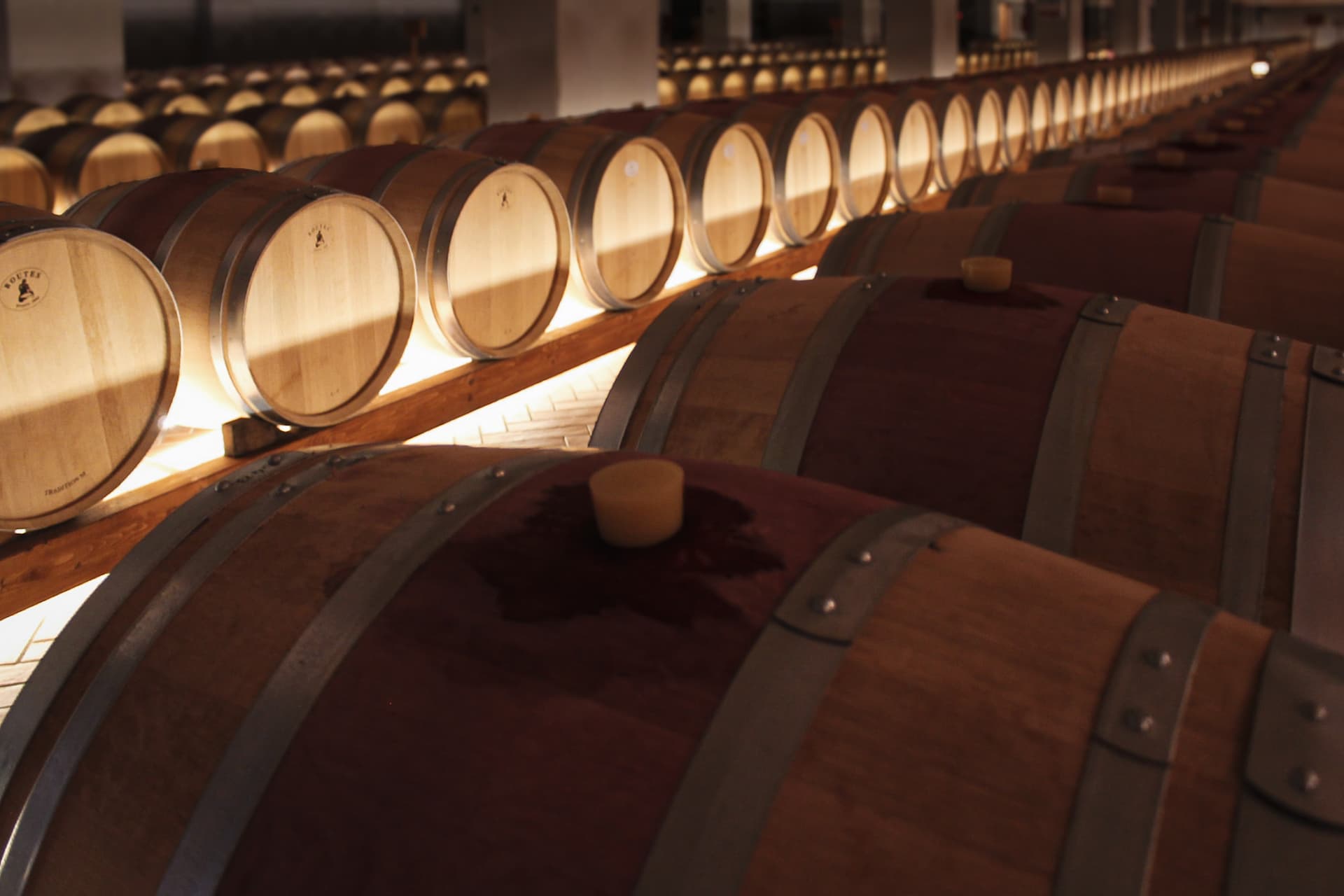 Tour pela vinícola e degustação de vinhos clássicos na Tenute…