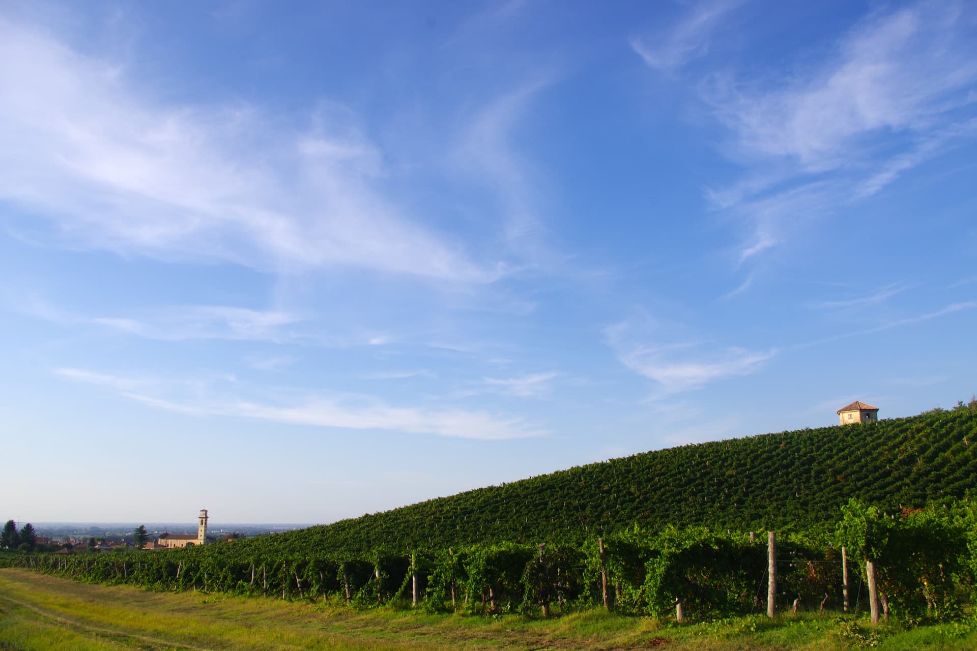Weinprobe