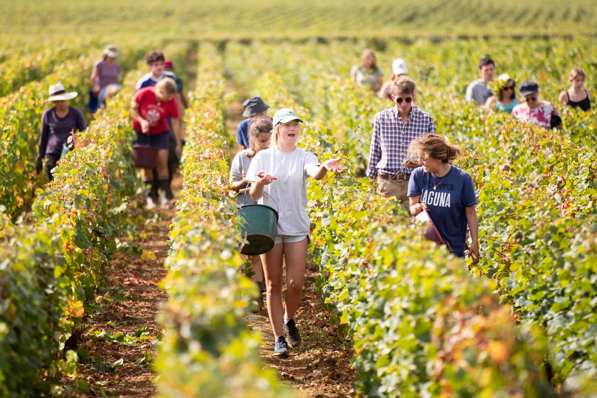 La Table De Pierre Bourée photo 1