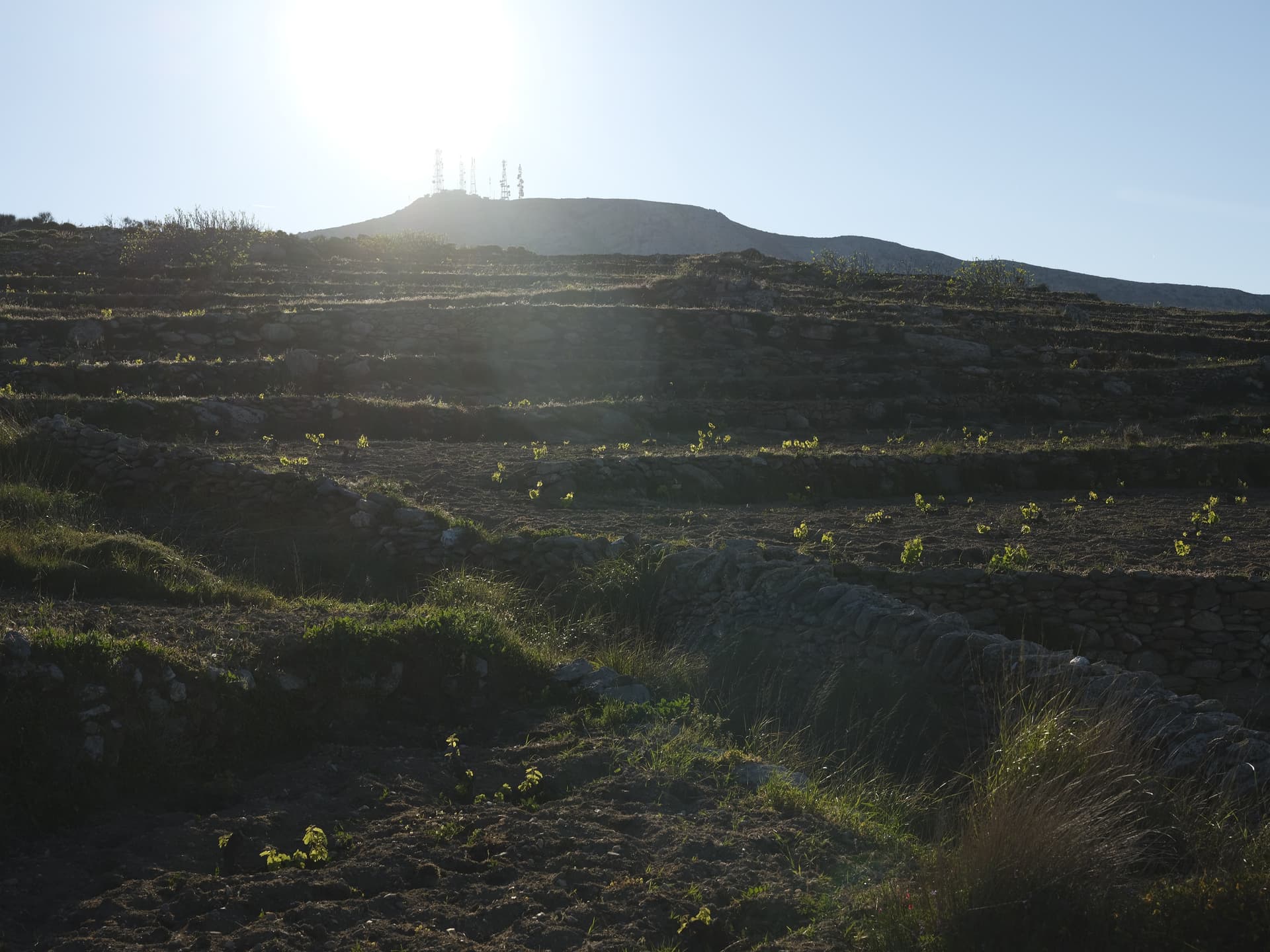 Paros Farming Community foto 2
