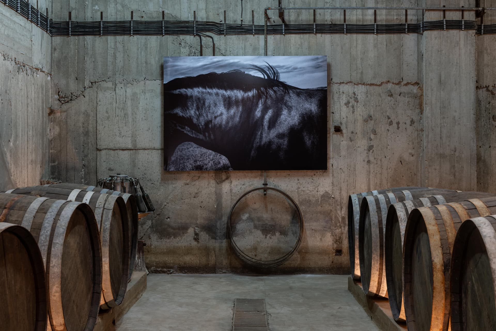 Degustação de vinhos Riza na comunidade agrícola de Paros