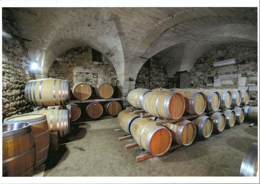 Besichtigung des Fasskellers und Weinprobe