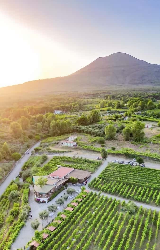 Sfoglia tutte le cantine sul Vesuvio