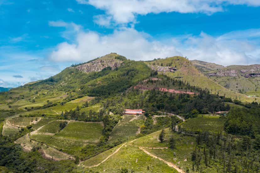 Bodegas Landsuá