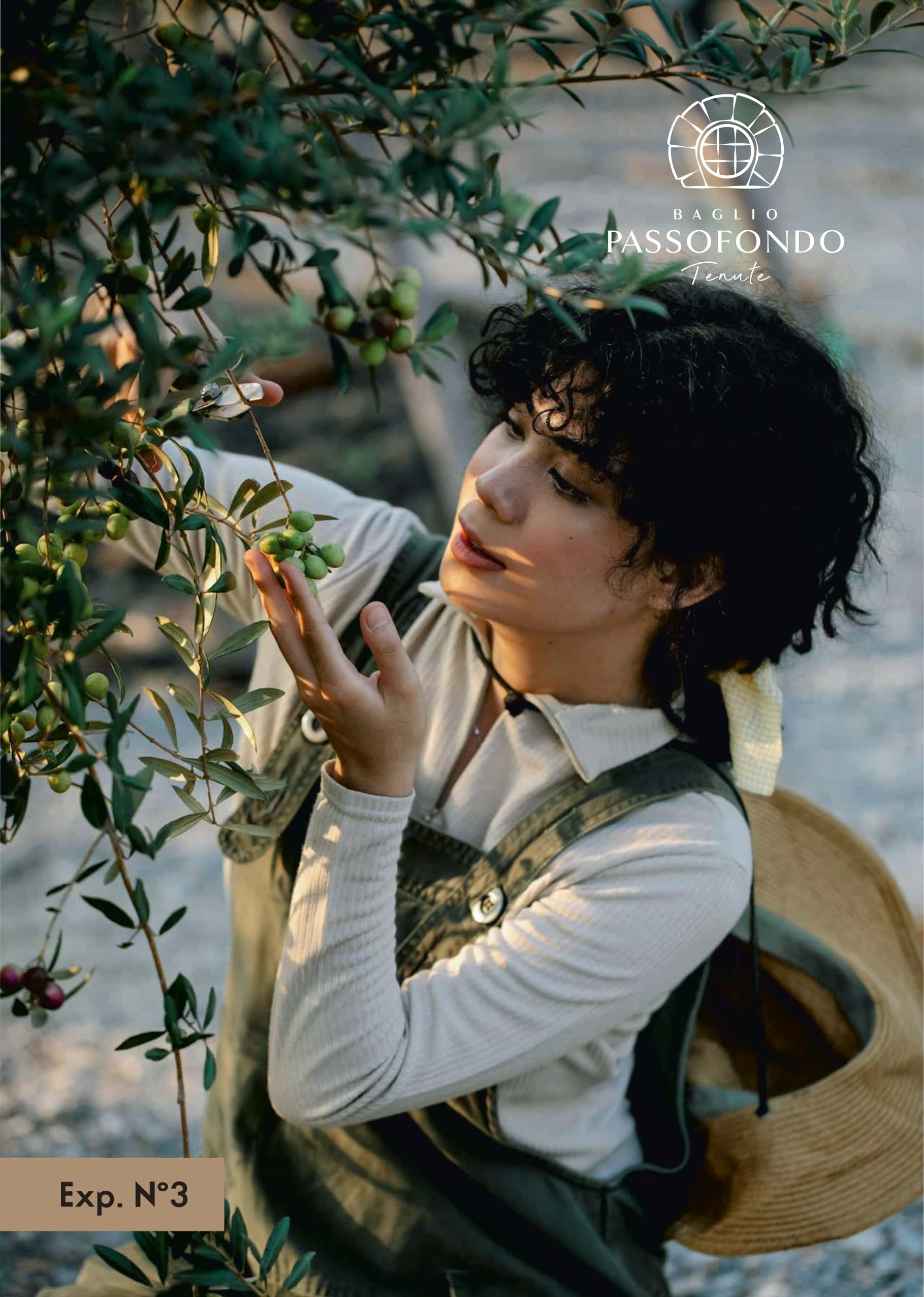 Walk Among Sicilian Olive Groves & Taste Local Oil