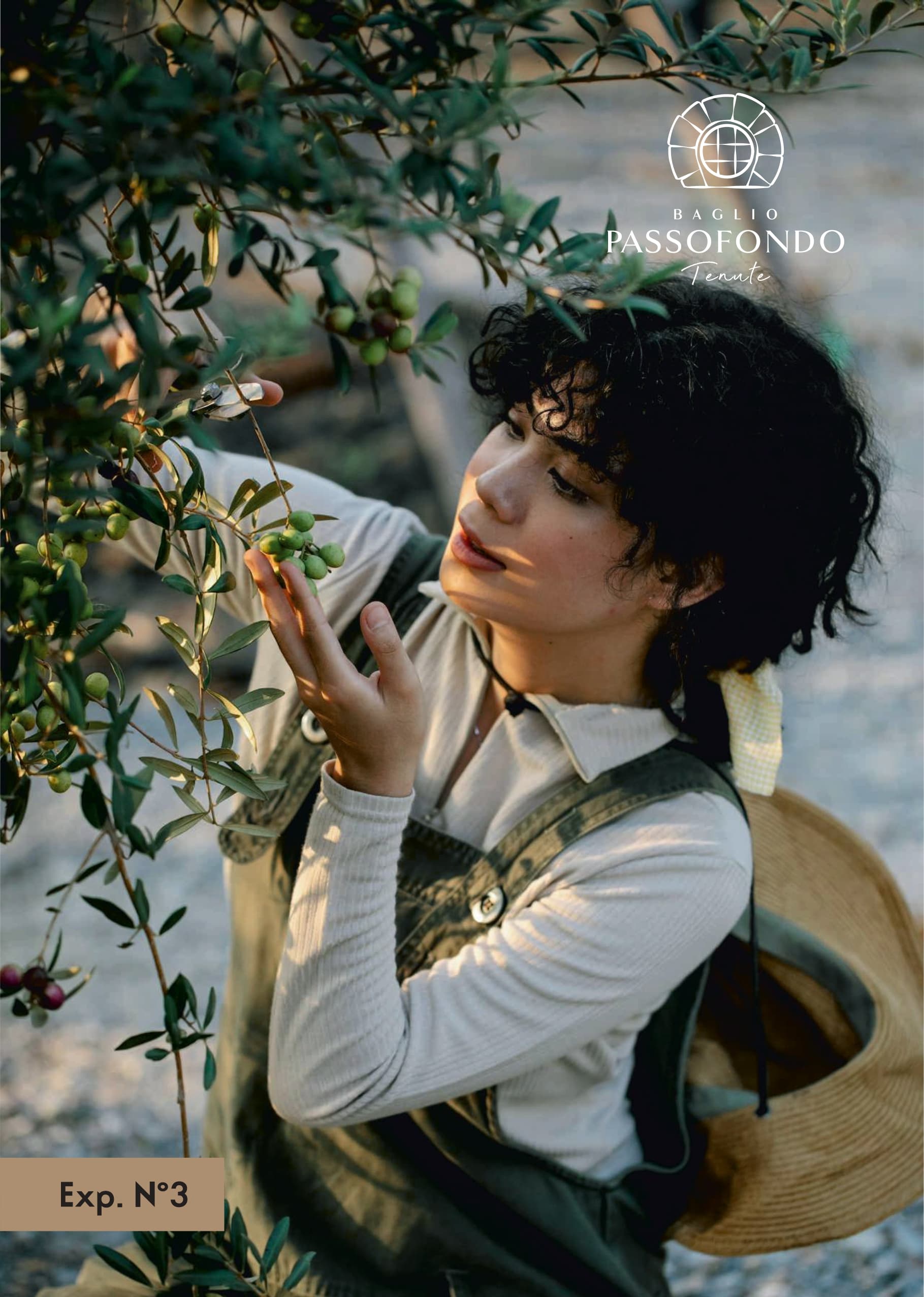 Walk Among Sicilian Olive Groves & Taste Local Oil