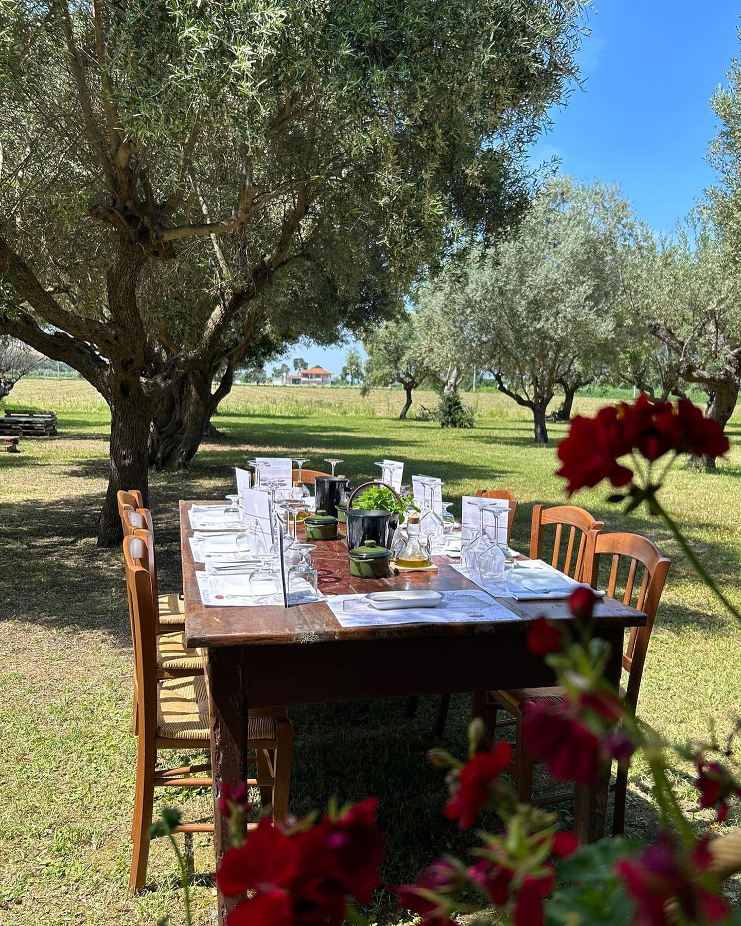 Cantina Mazzarosa: A Legacy of Sustainable Winemaking Foto 2