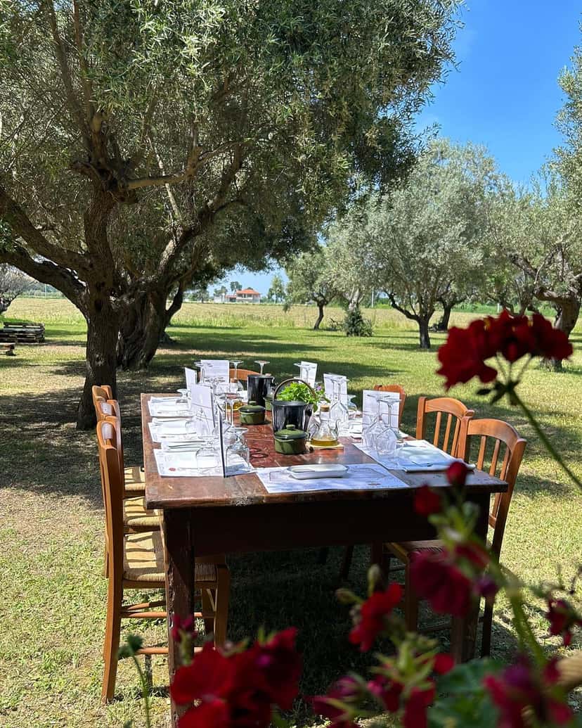 Cantina Mazzarosa: A Legacy of Sustainable Winemaking