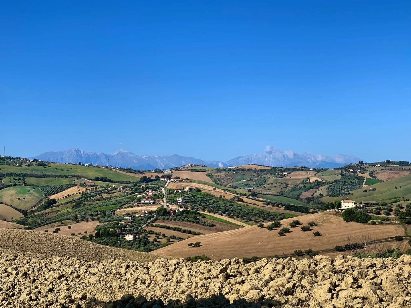 Cantina Mazzarosa: A Legacy of Sustainable Winemaking Foto 1