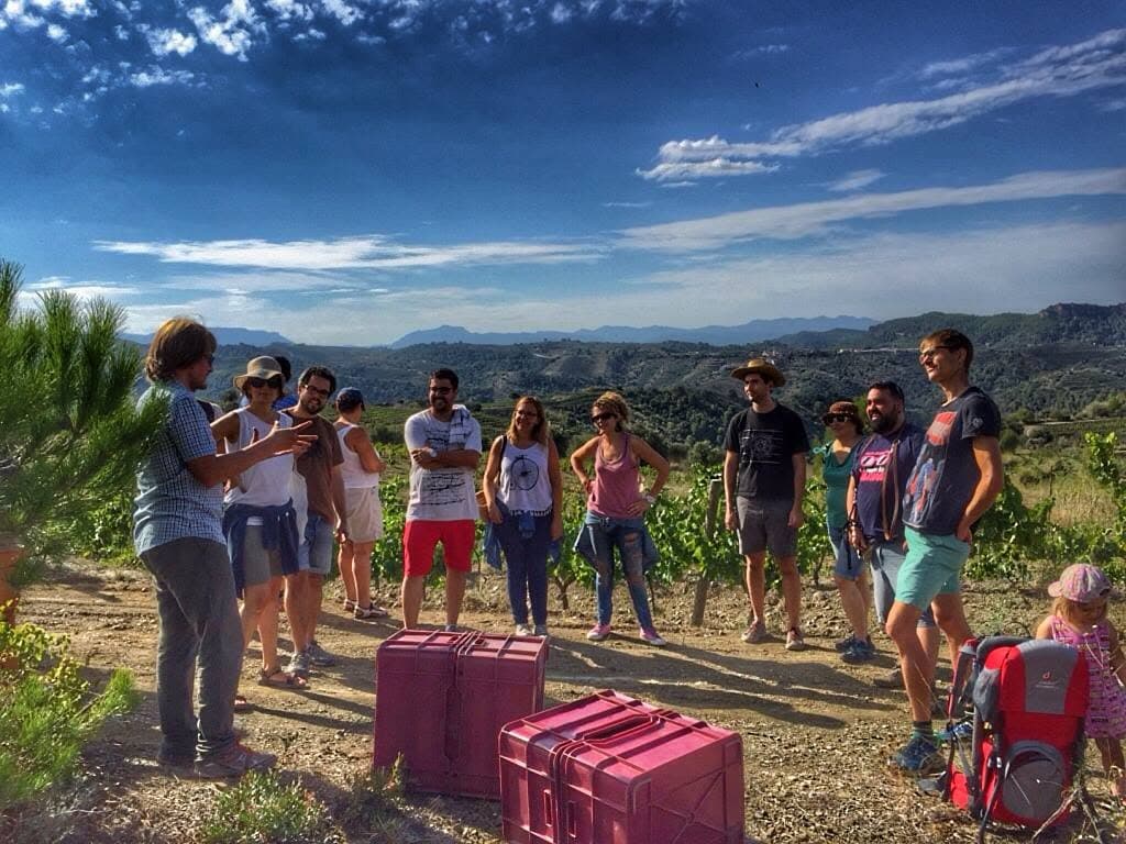 Celler Devinssi Foto 4