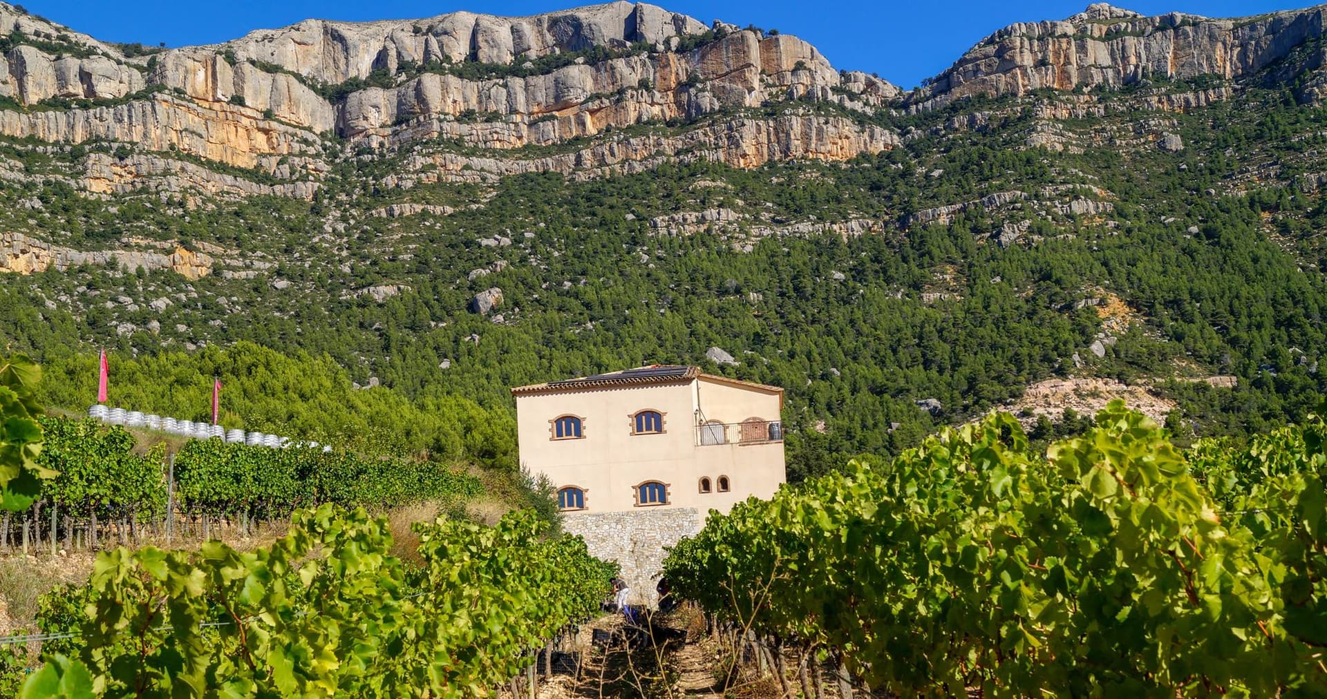 Celler Joan Ametller foto 1