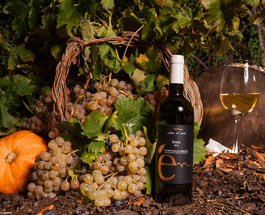 ENTU - Vermentino di Sardegna DOC