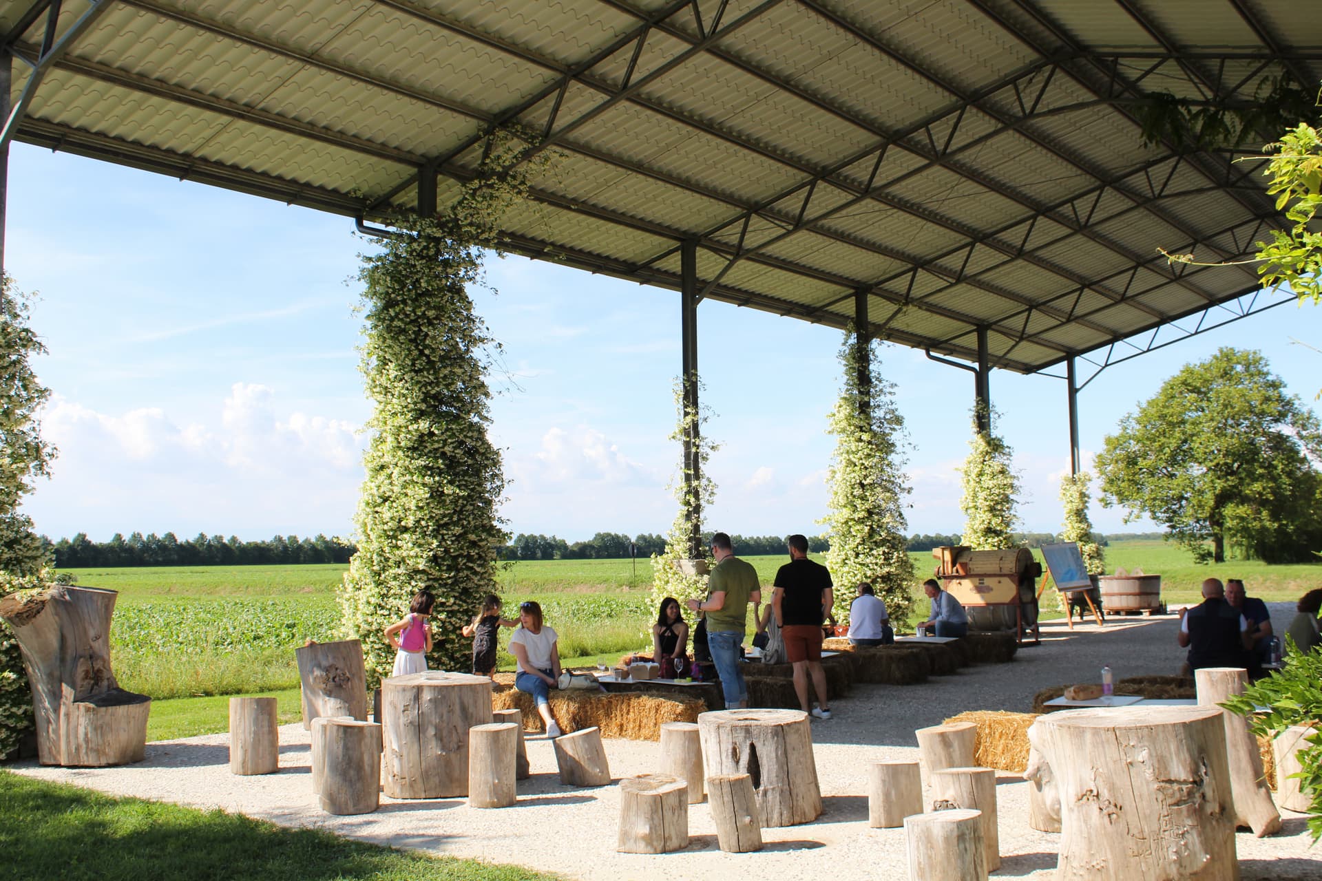 Degustação de vinhos e tour em La Frassina