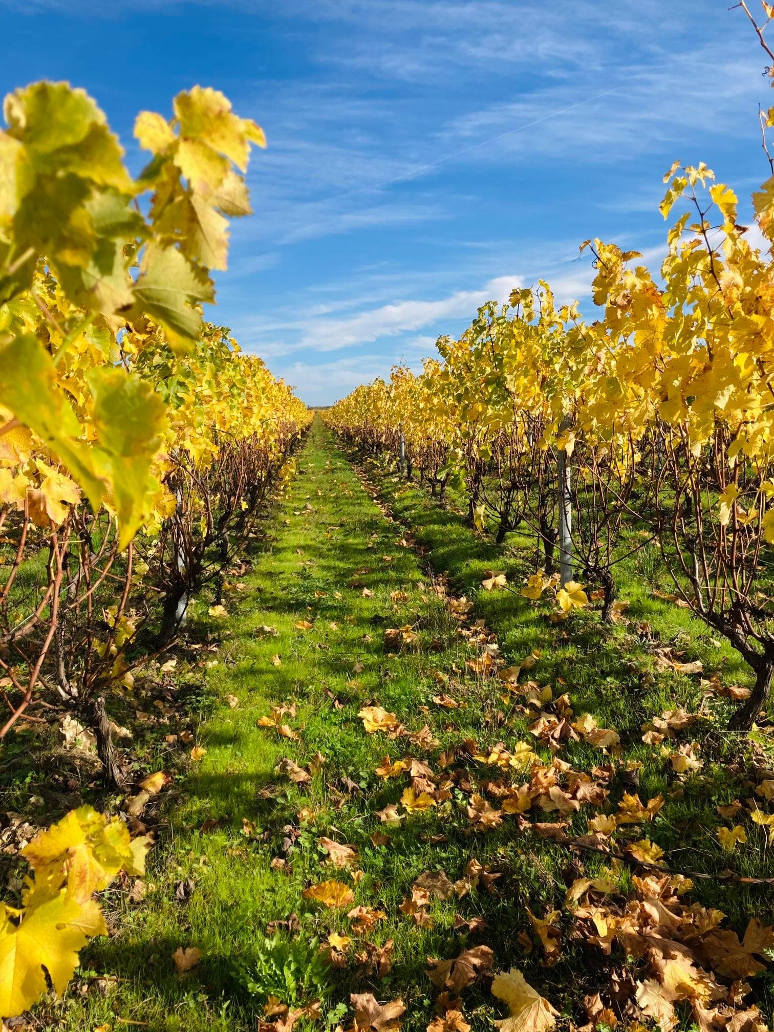 Domaine des Pierrettes Foto 2