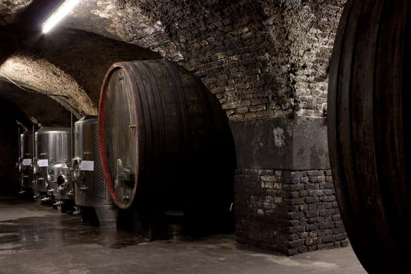 Explorar todas las bodegas en Rüdesheim