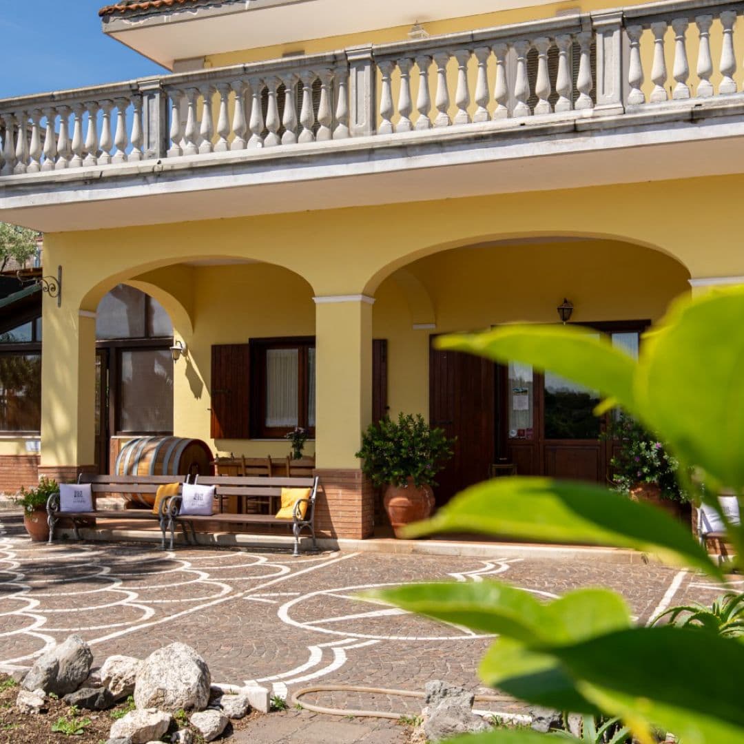 Cantine Astroni: A Gem in the Heart of Campania foto 1