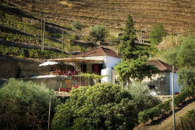 Maçanita Vinhos: A Hidden Gem in the Douro Valley